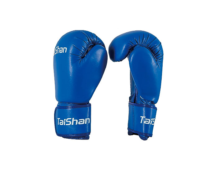 TY-WS17 拳擊手套